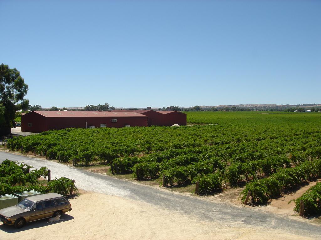 Kaesler Cottages Nuriootpa Esterno foto